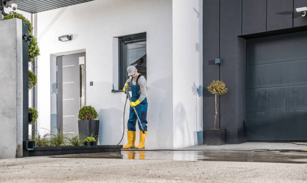 Best Building Exterior Washing  in Franklin Park, FL